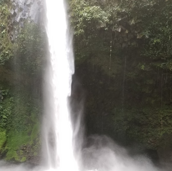 Meet your Posher, Ana - Picture 1 of 1